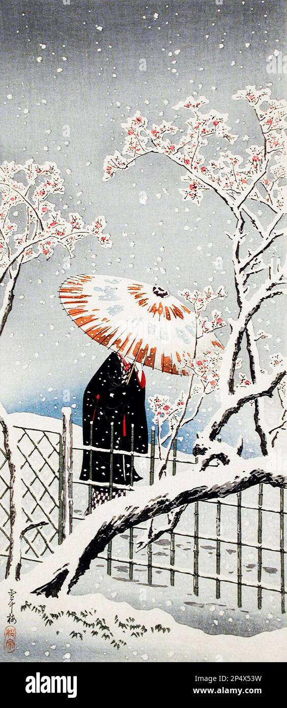 Motif prune dans la neige en haute résolution par Hiroaki Takahashi Banque D'Images