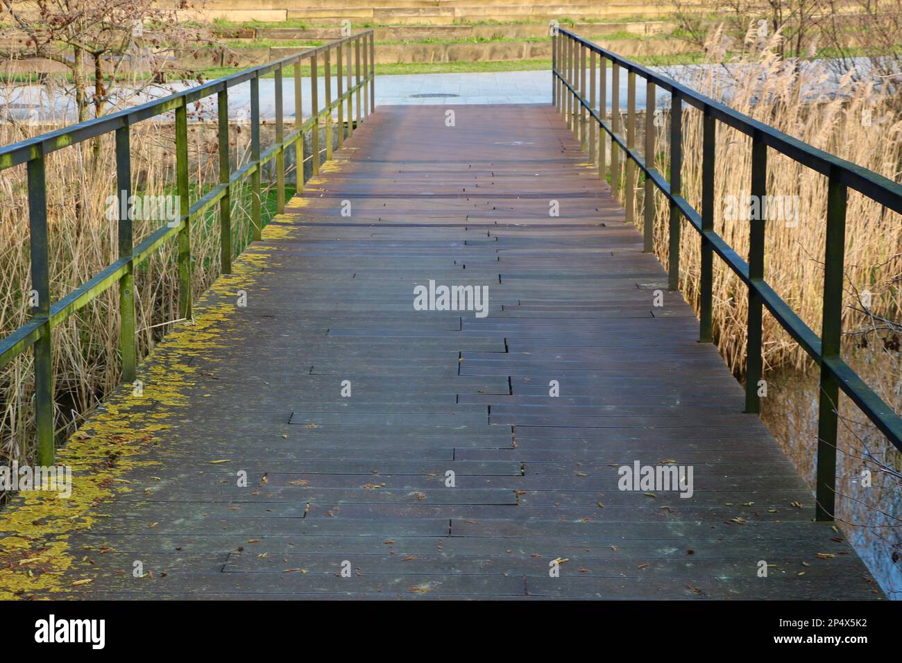 Passerelle à perspective décroissante avec planches en bois et clôtures métalliques sur des terres humides avec roseaux Las Llamas Atlantic Park Santander Spain Spring Banque D'Images