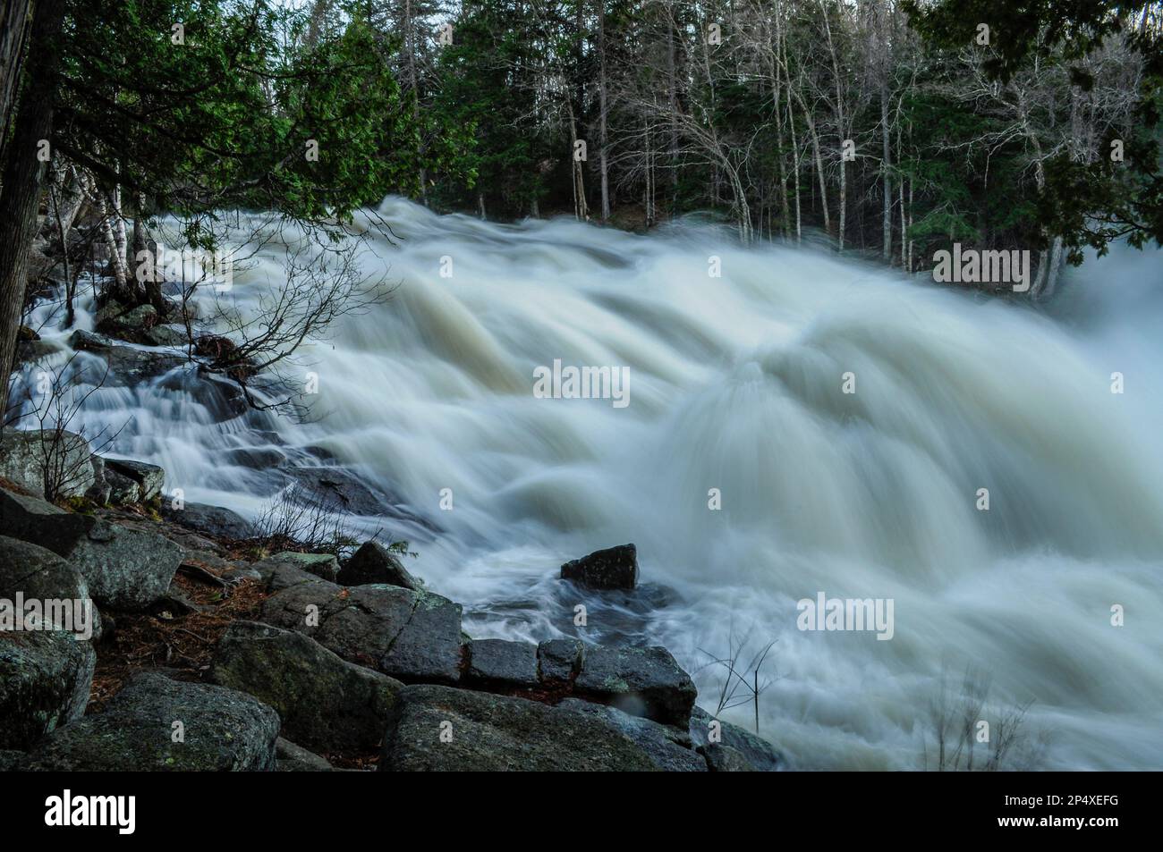 Les chutes de babeurre sont au stade d'inondation au printemps sur la rivière Raquette, dans les montagnes Adirondack, dans l'État de New York Banque D'Images