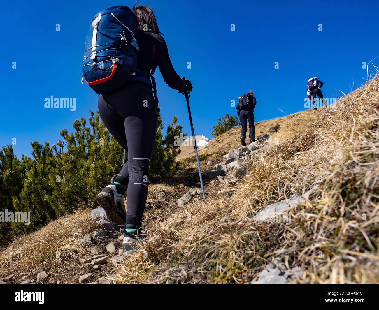 Vue arrière d'une femme dans une scène de trekking Banque D'Images