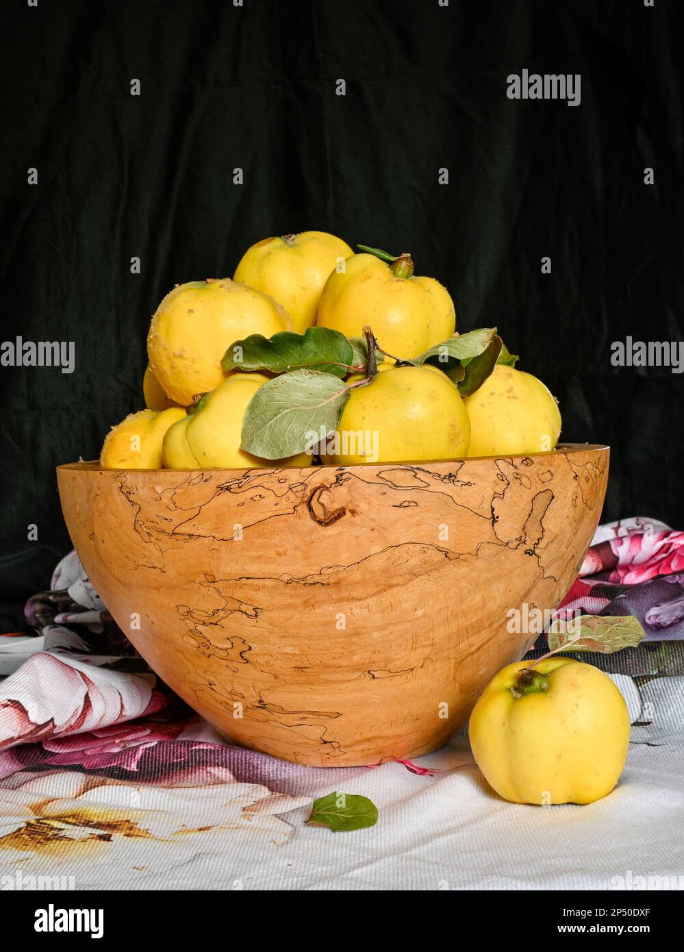 English Grown Quings in Spalted Beech Bowl Banque D'Images