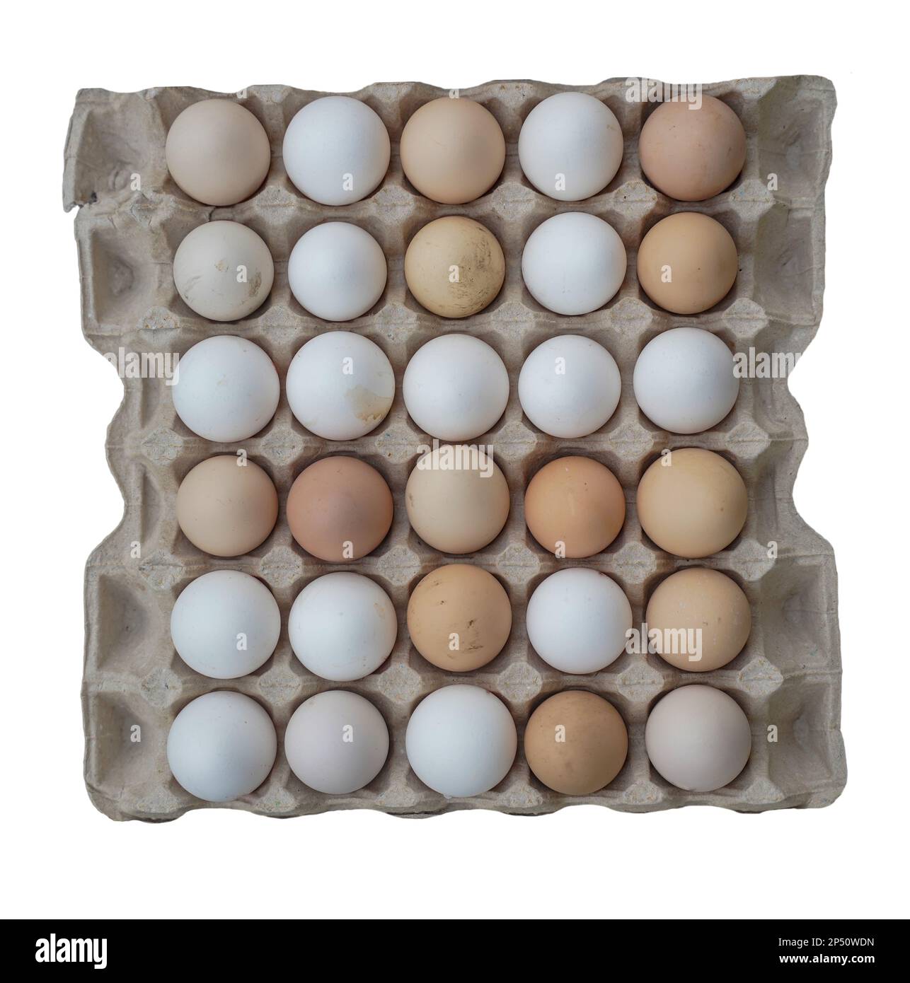 Batterie d'œufs bio isolée sur fond blanc, vue du dessus, nourriture biologique. Banque D'Images