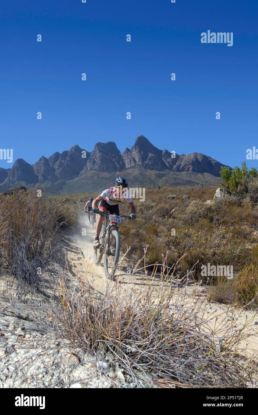 VTT à l'ABSA Cape Epic Banque D'Images