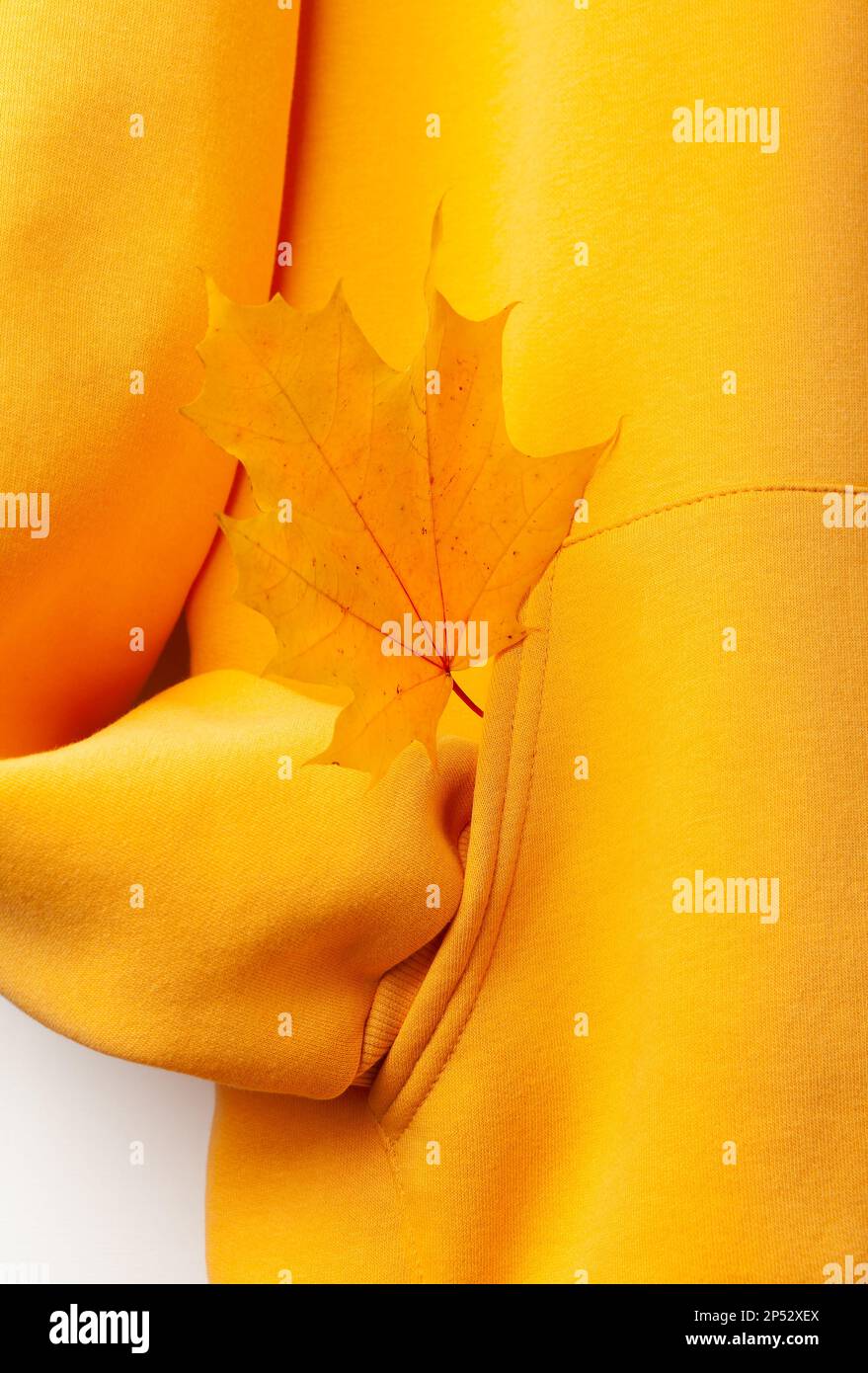 Concept d'automne - fragment d'un sweat à capuche jaune avec une manche repliée dans une poche, une feuille d'érable jaune dépassant d'une poche. Banque D'Images