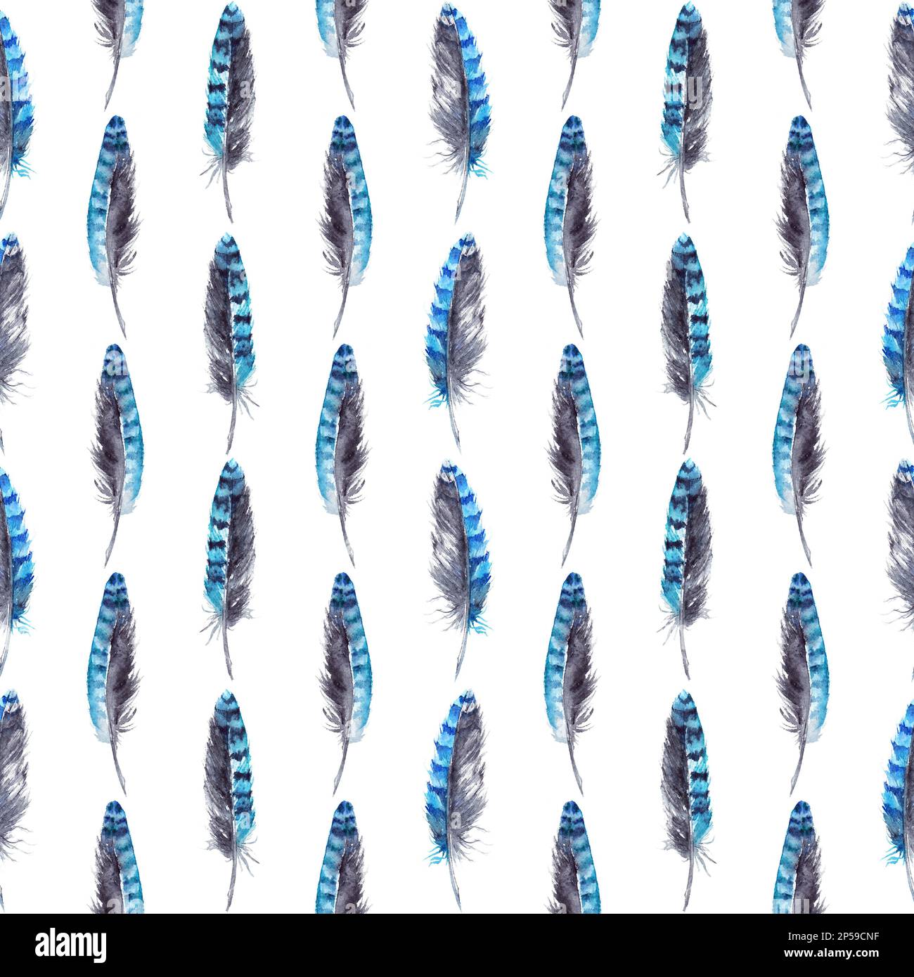 Fond bleu aquarelle avec motif en plumes jay sans couture. Banque D'Images