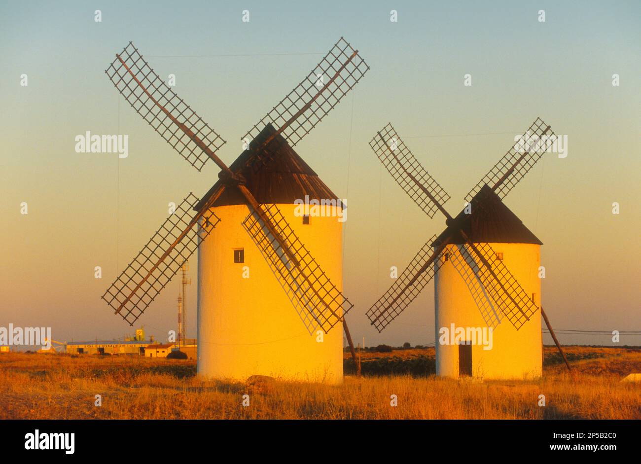 Les moulins à vent,Mota del Cuervo,Cuenca province,Castille La Manche, la route de Don Quichotte, Espagne Banque D'Images