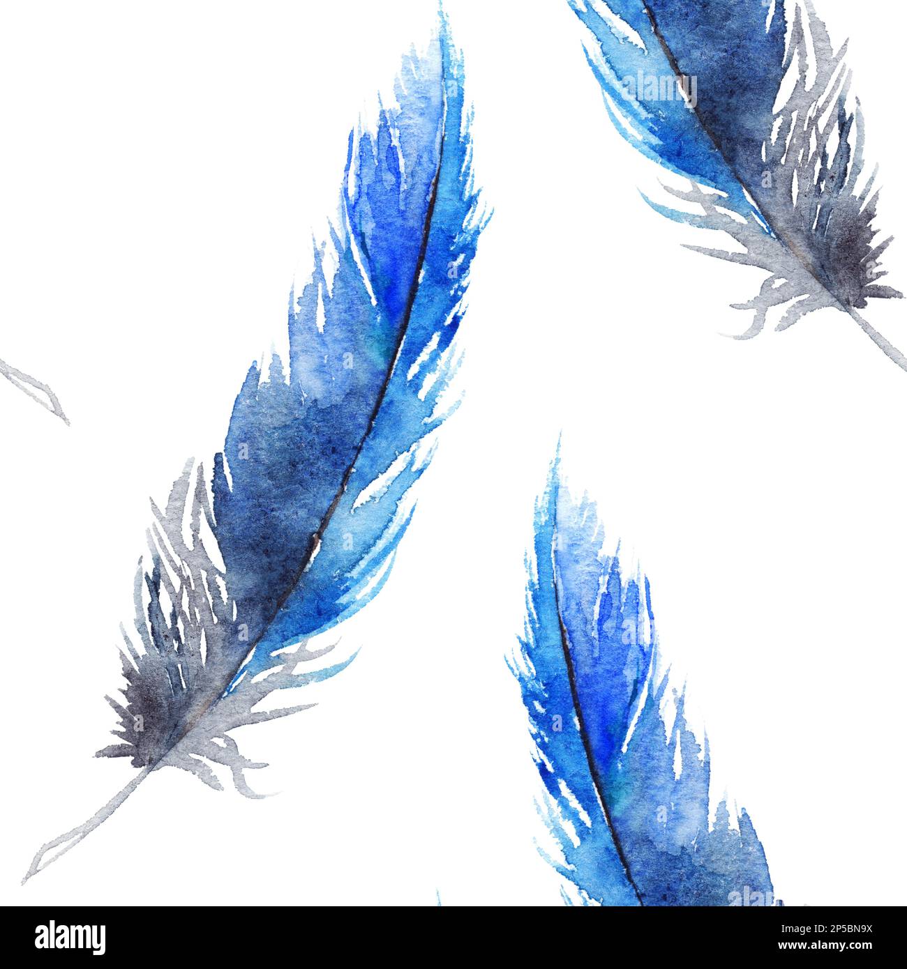 Aquarelle noir bleu geai plume sans couture motif texture arrière-plan. Banque D'Images