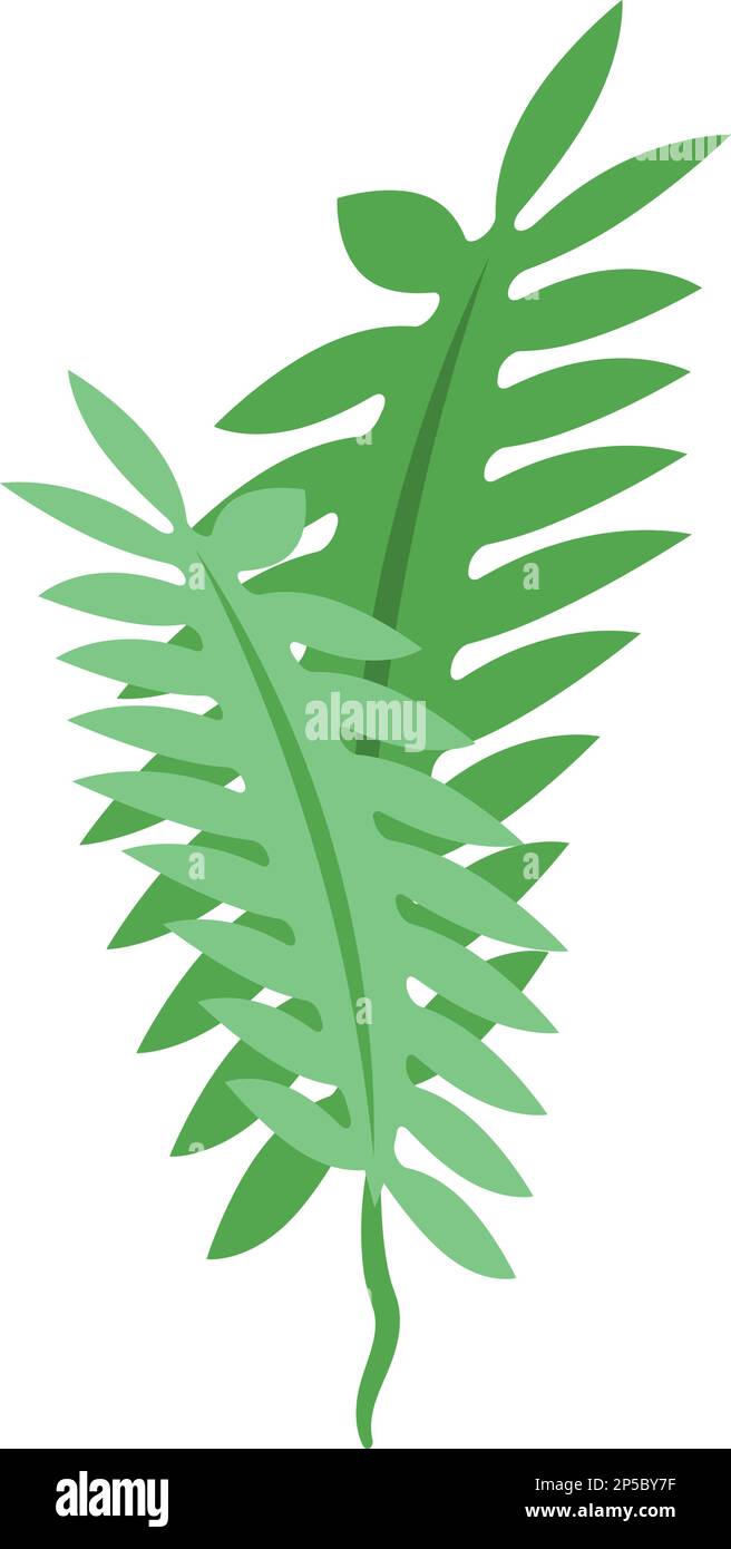 Icône d'algues marines vecteur isométrique. Usine d'alga. Herbe d'océan Illustration de Vecteur