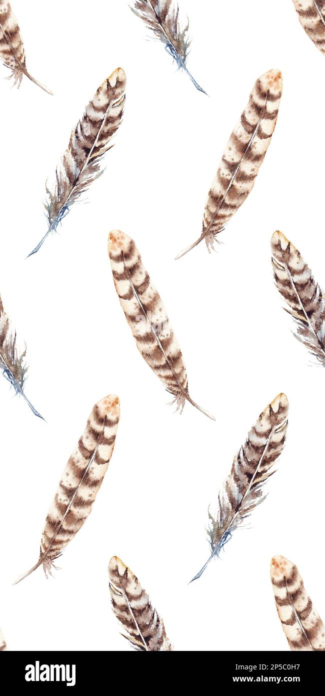 Motif en plumes beige aquarelle à rayures marron sans coutures. Banque D'Images