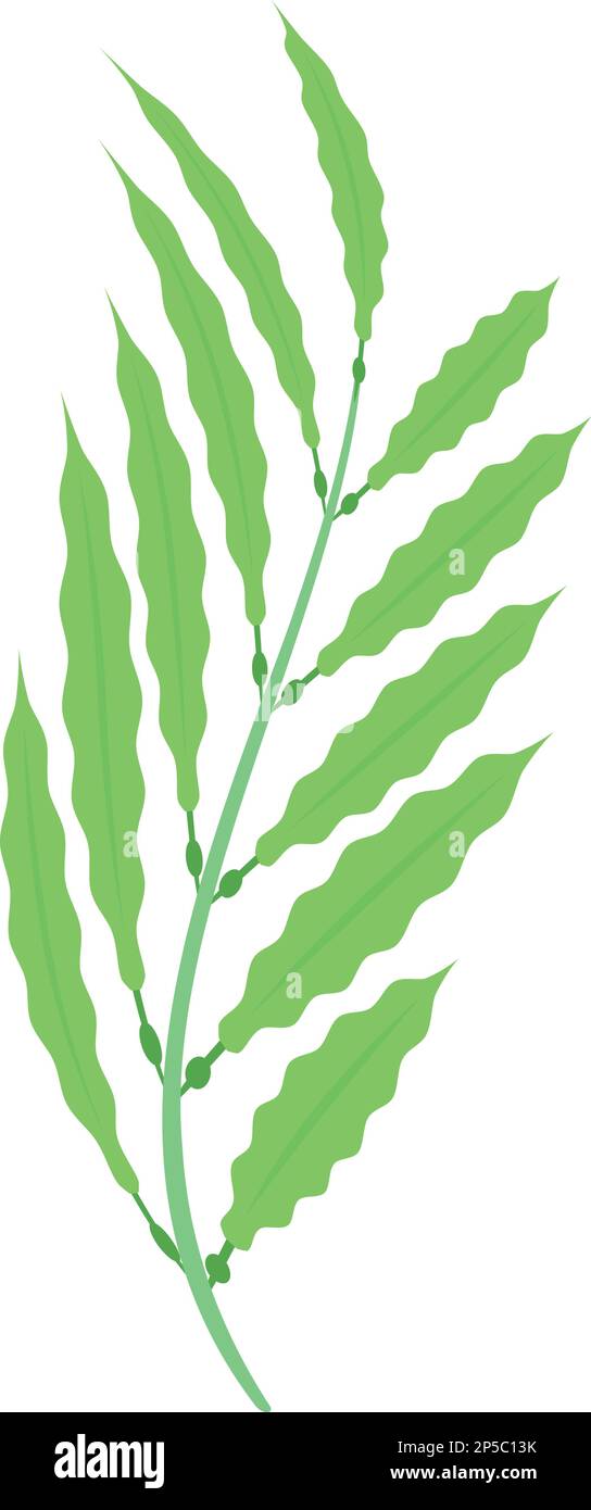 Vecteur isométrique de l'icône de la plante de l'eau. Récif d'herbe. Algues marines Illustration de Vecteur