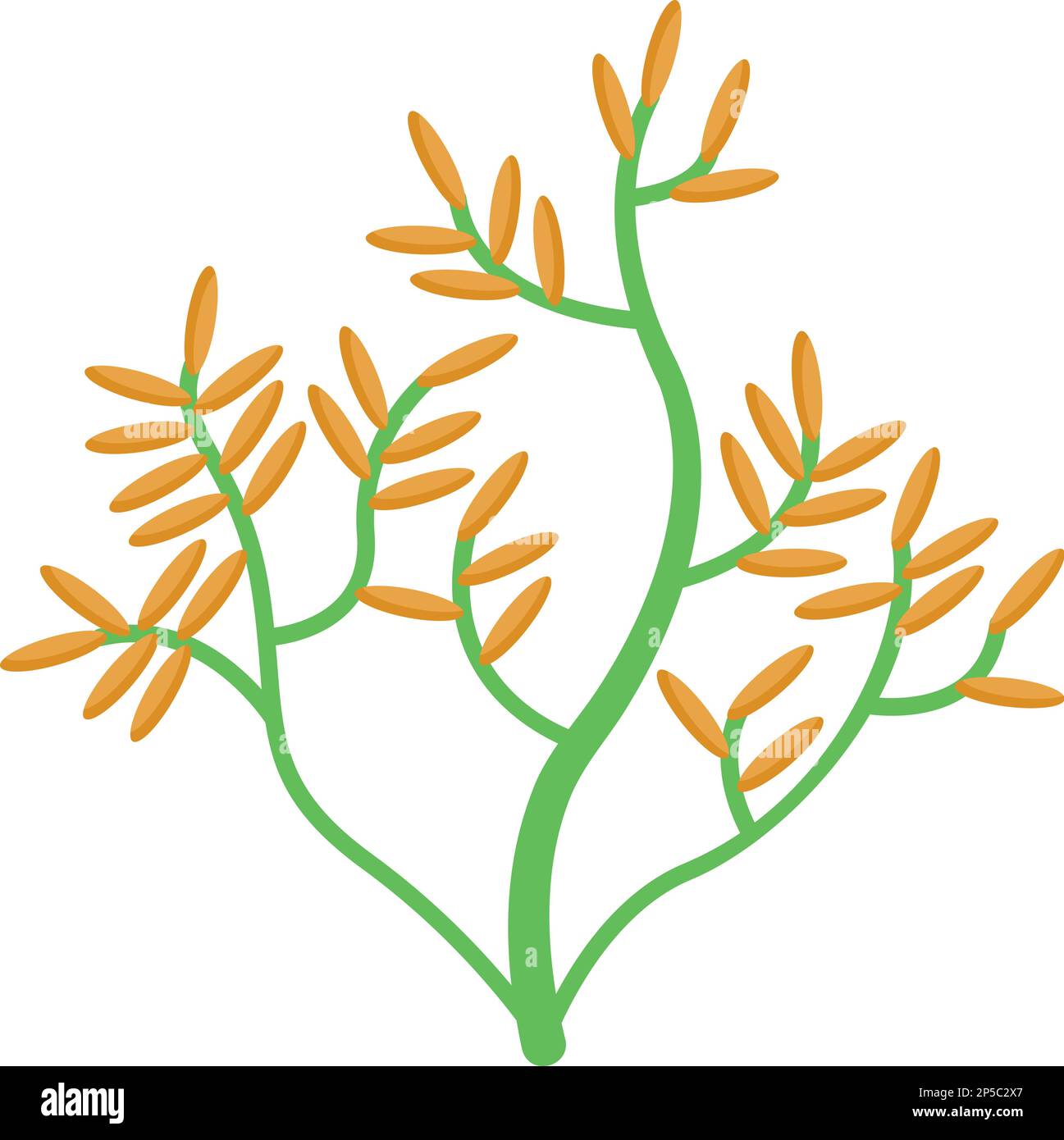 Icône de plante d'algues vecteur isométrique. Algue de mer. Plante verte Illustration de Vecteur