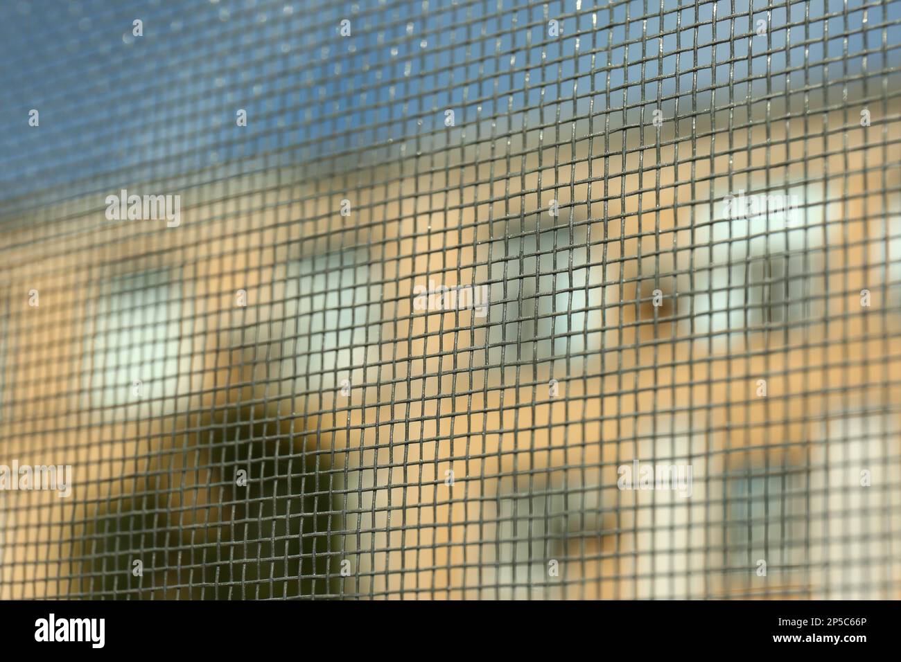 Gros plan de l'écran de la fenêtre des moustiques, vue de l'intérieur Banque D'Images