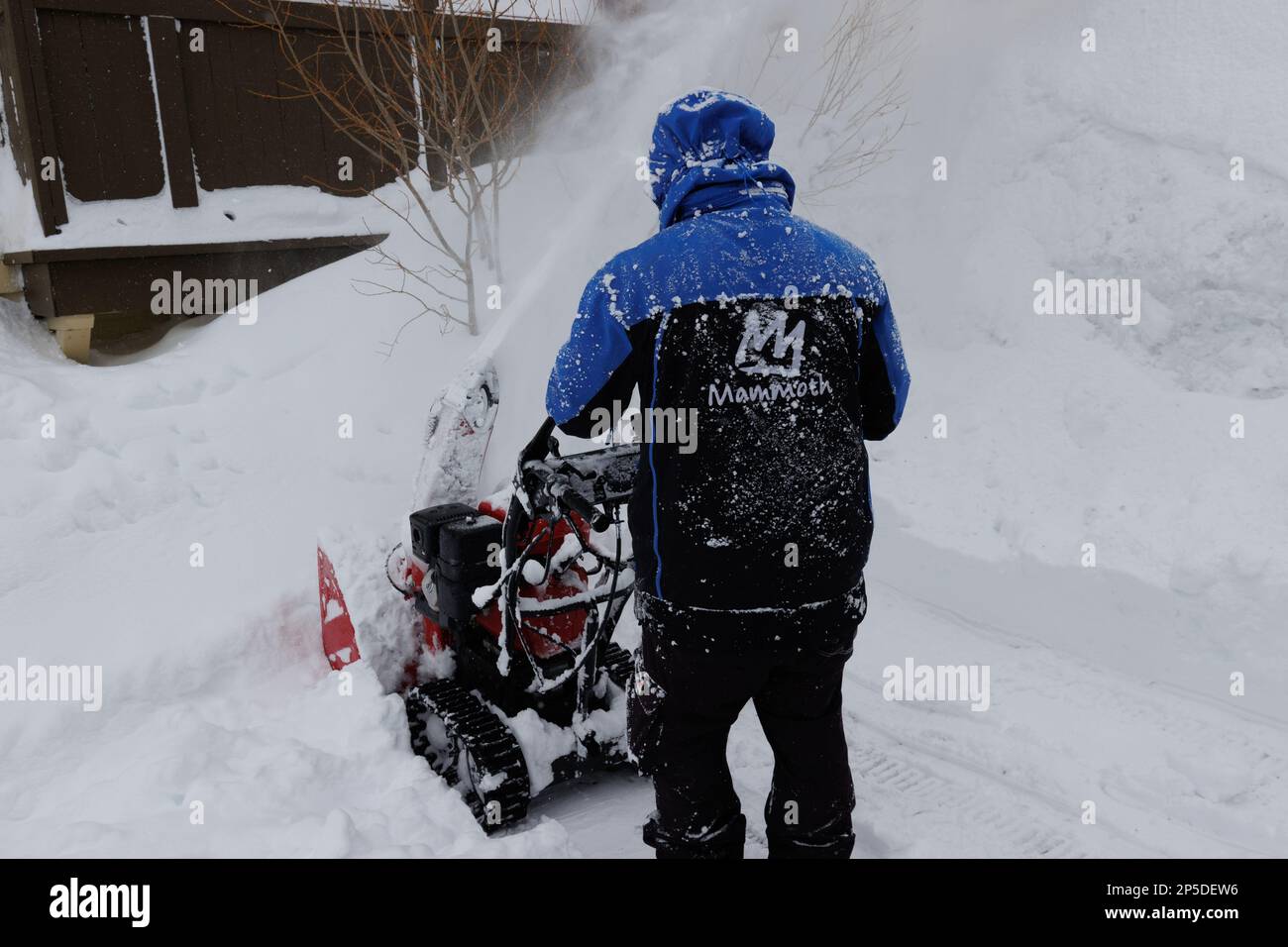 Un homme utilise une machine à déneiger pour dégager une allée quand la neige tombe pendant un blizzard à Mammoth Lakes, CA. Banque D'Images