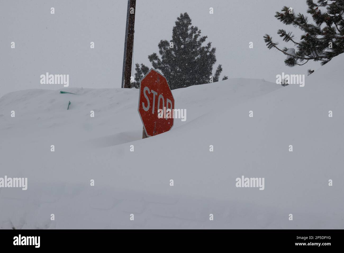 Mammoth Lakes, Californie. 27 février 2023. Un blizzard hivernal descend de 3 à 4 pieds de neige sur les lacs Mammoth, en Californie. Banque D'Images