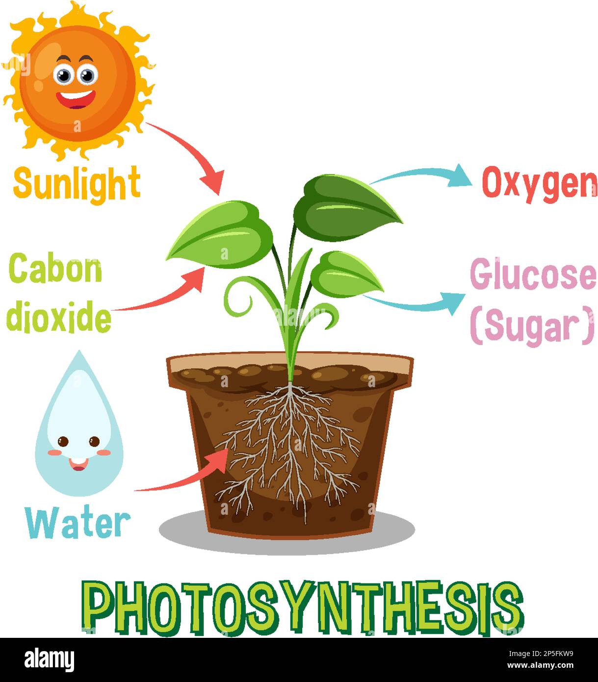 Diagramme de la photosynthèse pour illustration de l'enseignement de la biologie et des sciences de la vie Illustration de Vecteur