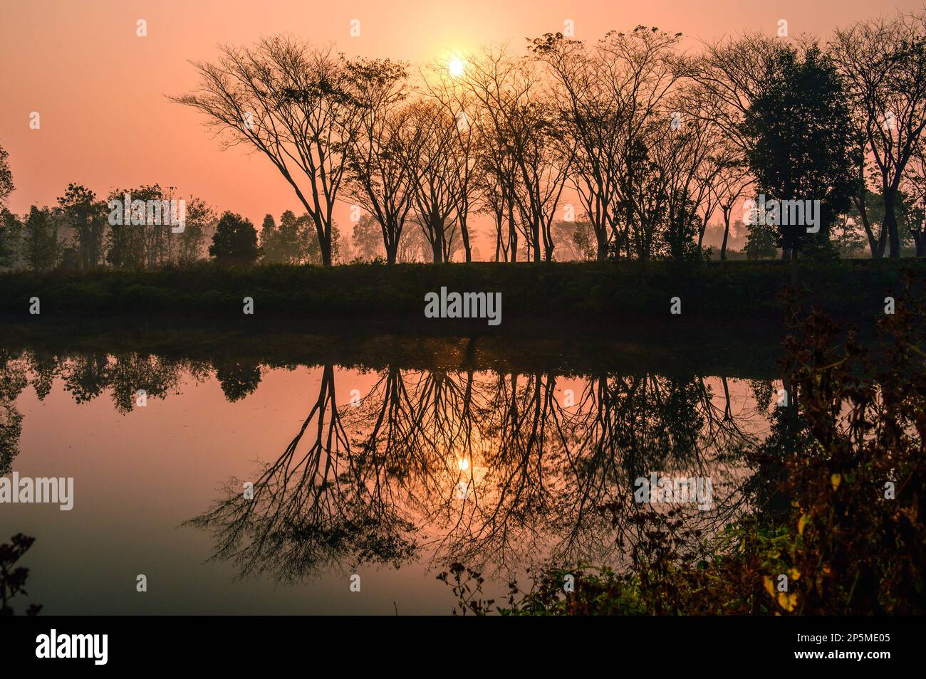 Lever du soleil sur le lac. Dooars, Bengale occidental, Inde - 15 février 2023. Les beaux jardins de thé de la région du Bengale du Nord. Banque D'Images