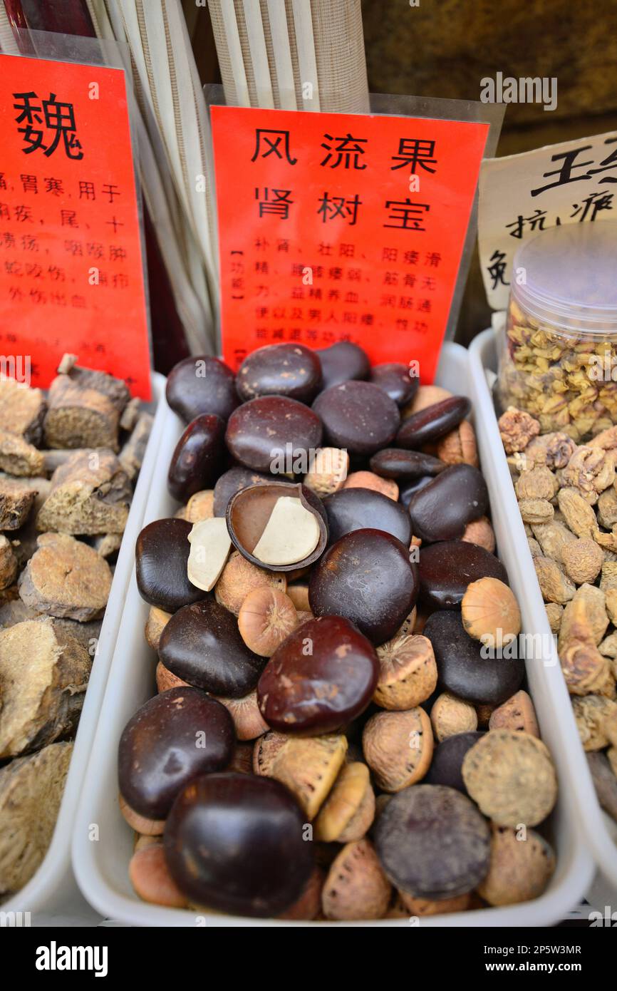 Une variété de médicaments traditionnels chinois et à base de plantes produites localement au Xinjiang, en Chine, dans le Grand Bazar à Urumqi, Xinjiang, en Chine Banque D'Images