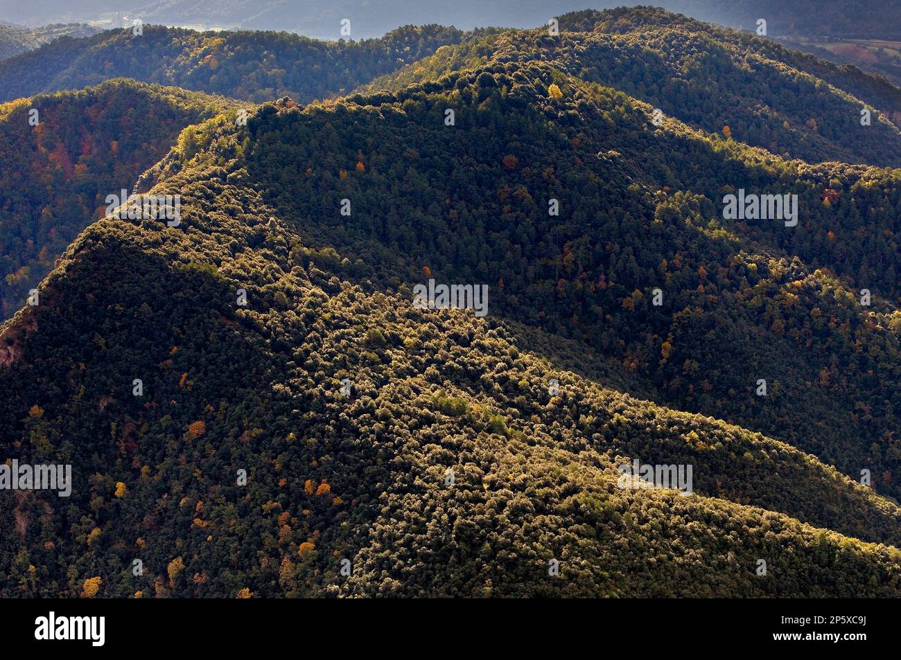 Sur les ballons de plus de Serra de Sant Julià, Parc Naturel de la Garrotxa Girona,province. La Catalogne. Espagne Banque D'Images