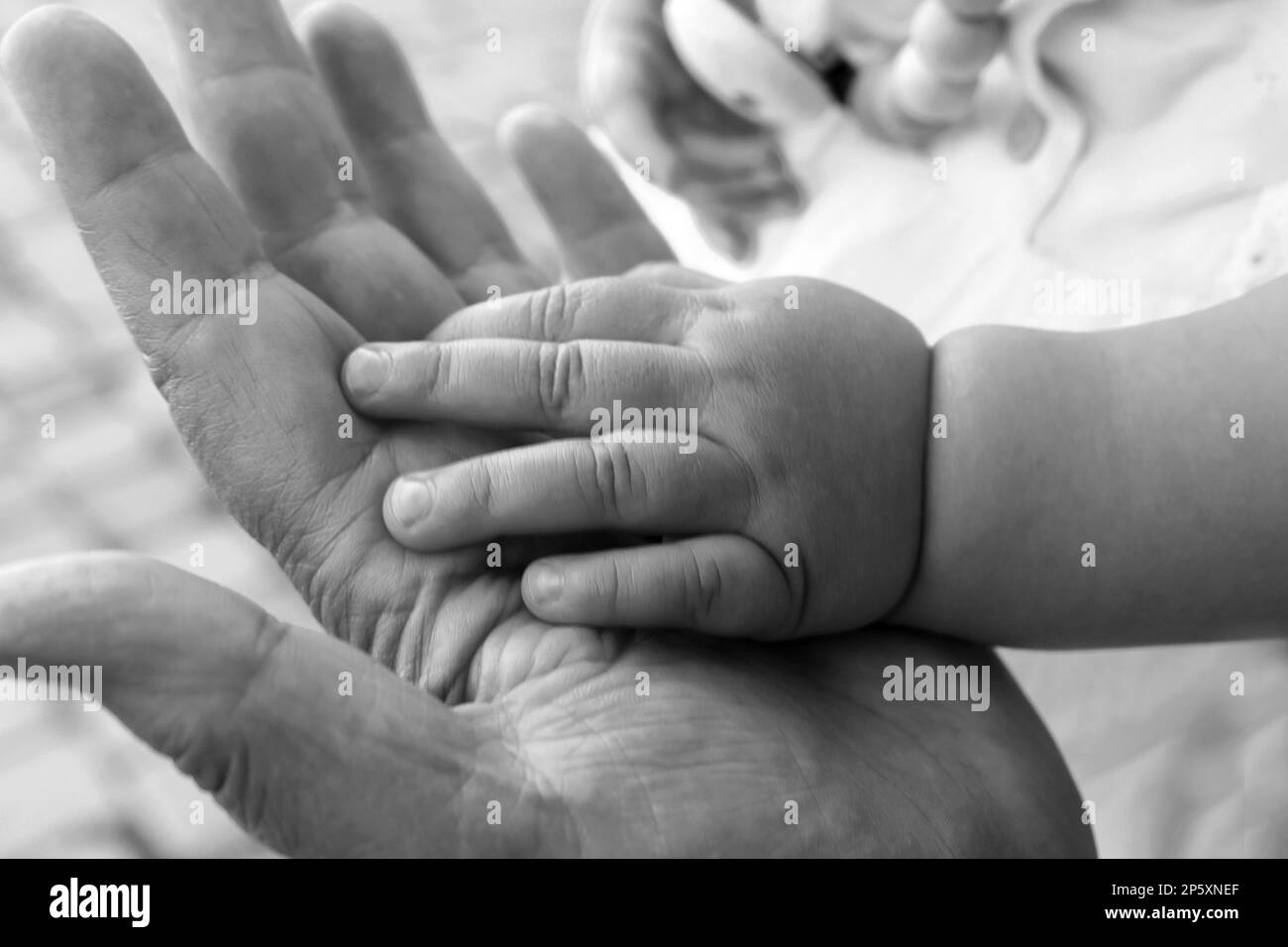 main de bébé dans la main de la mère, photo en noir et blanc Banque D'Images