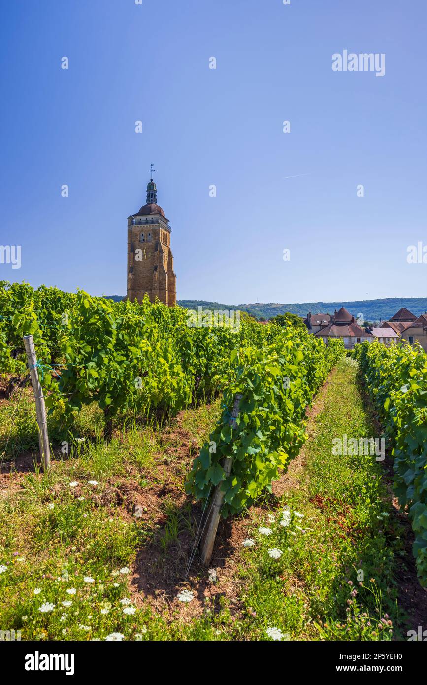 Vignobles avec église Arbois, département Jura, Franche-Comté, France Banque D'Images