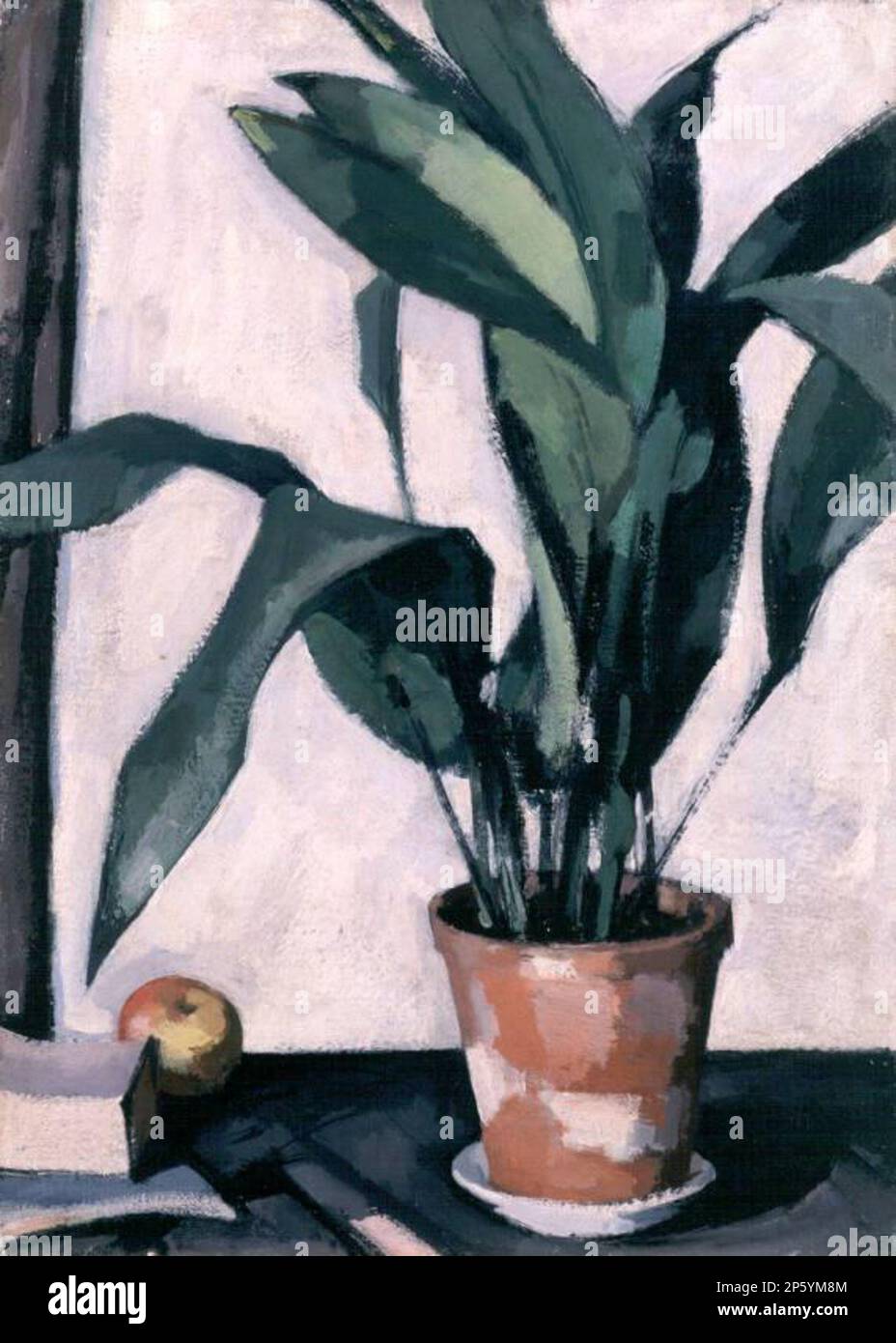 Aspidistrait, Samuel John Peploe (Édimbourg, Écosse, 1871 - 1935) 1927 Banque D'Images