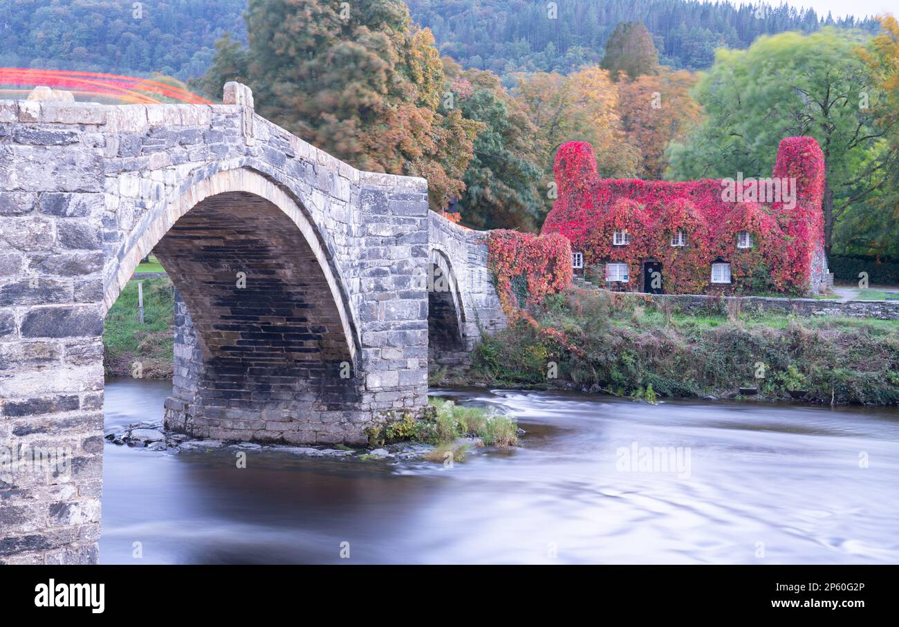 Tu Hwnt i'r Afon, le long de la rivière Conwy, Llanrwst, County Conwy, au nord du pays de Galles. Prise à l'automne 2022. Banque D'Images