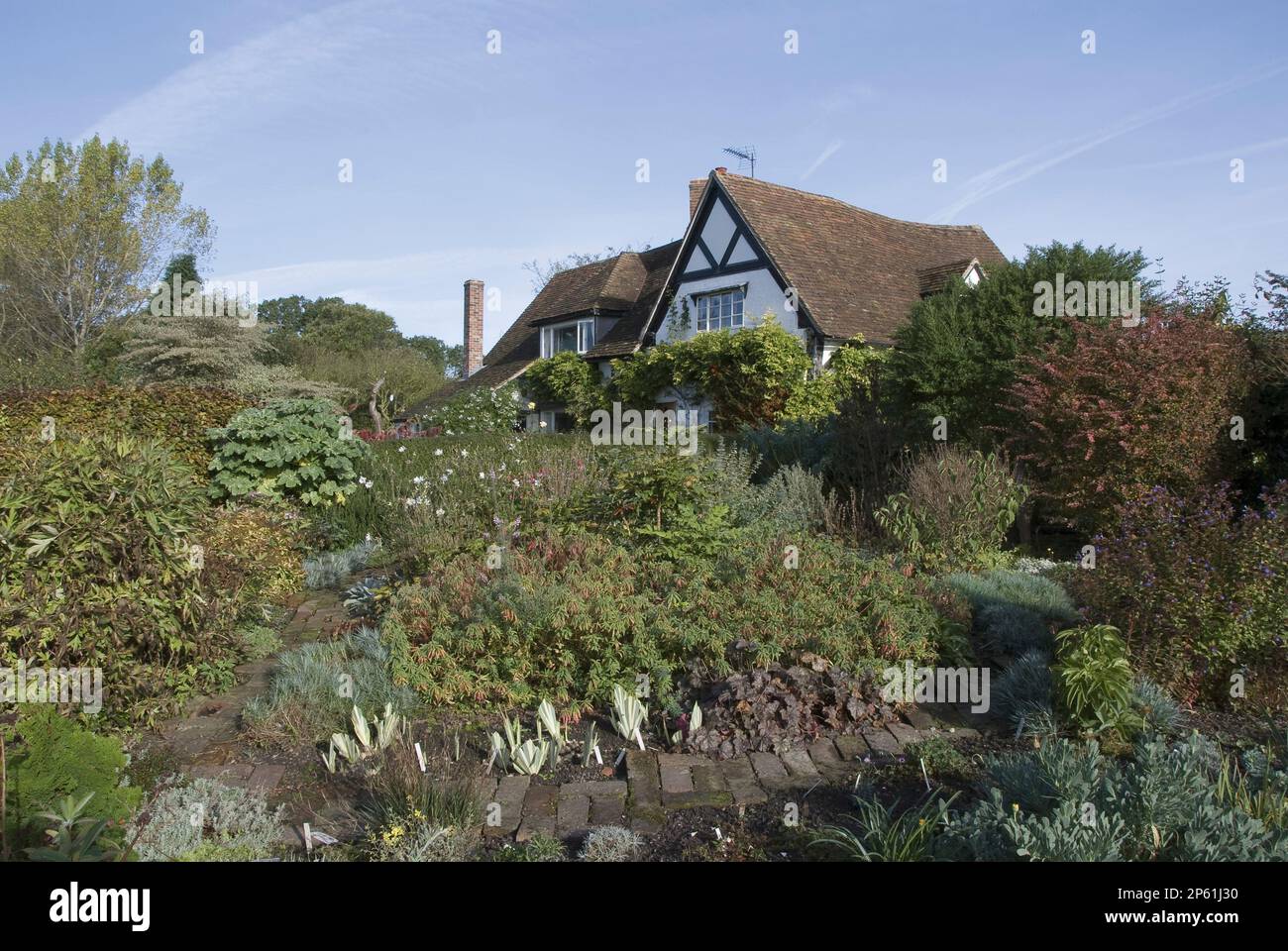 Frontière surélevée dans le jardin du cottage avec bâtiment derrière le cottage Eastgrove Banque D'Images