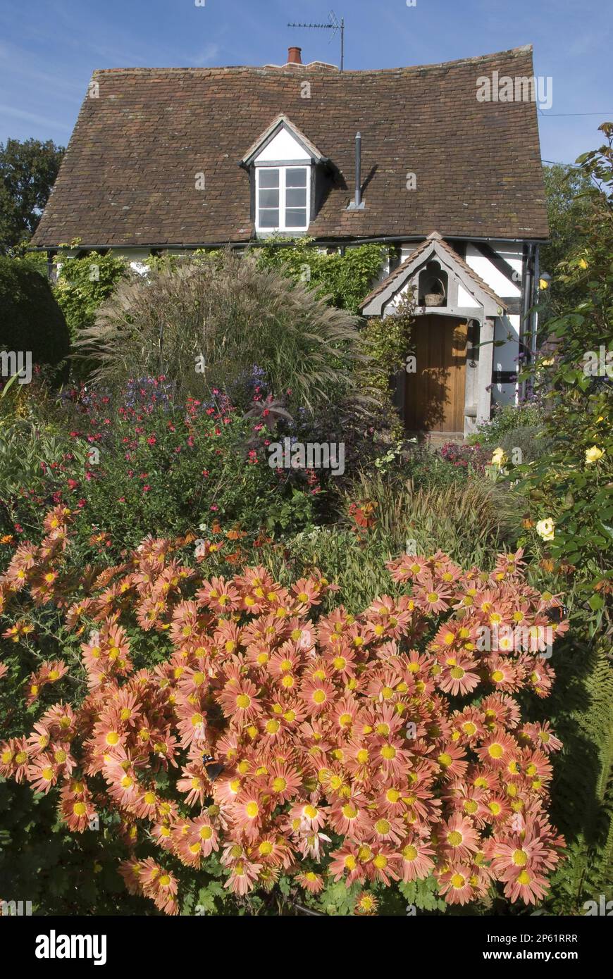 maison de campagne ancienne avec jardin fleuri en face jaune orange marguerite daisies Banque D'Images