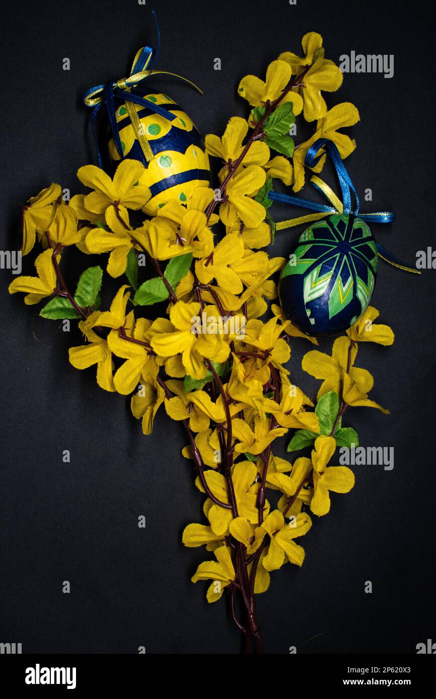 Fleurs jaunes colorées pour la tradition de pâques Banque D'Images