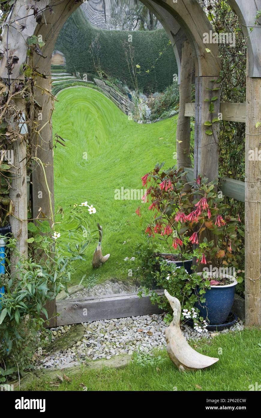 oie en bois regardant la peinture de cadre voûté de reflet déformé du jardin dans la fausse réalité originale Banque D'Images