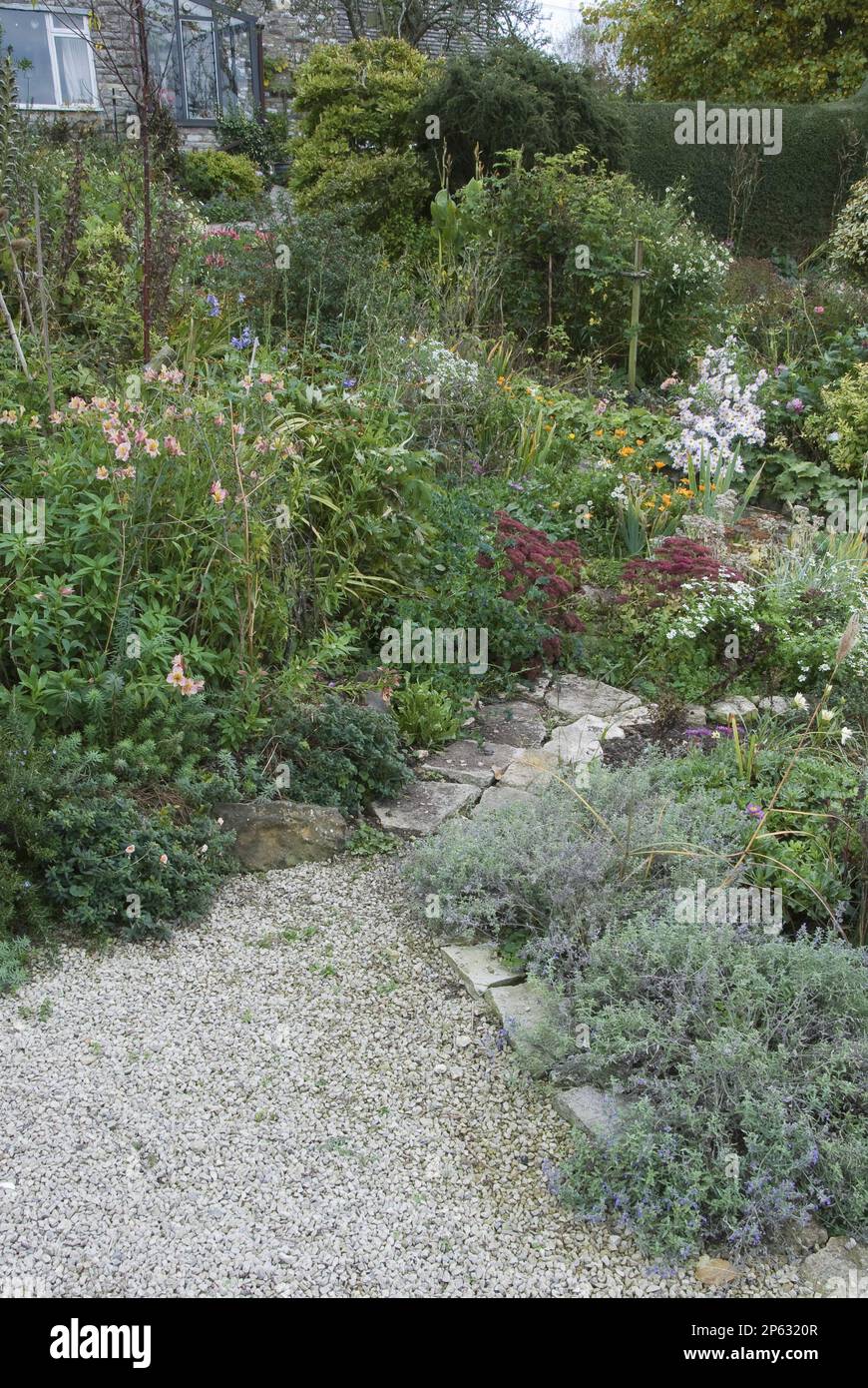 chemin de gravier et de pierre dans les frontières de fleurs mixtes avec le jardin de romarin de campagne Banque D'Images