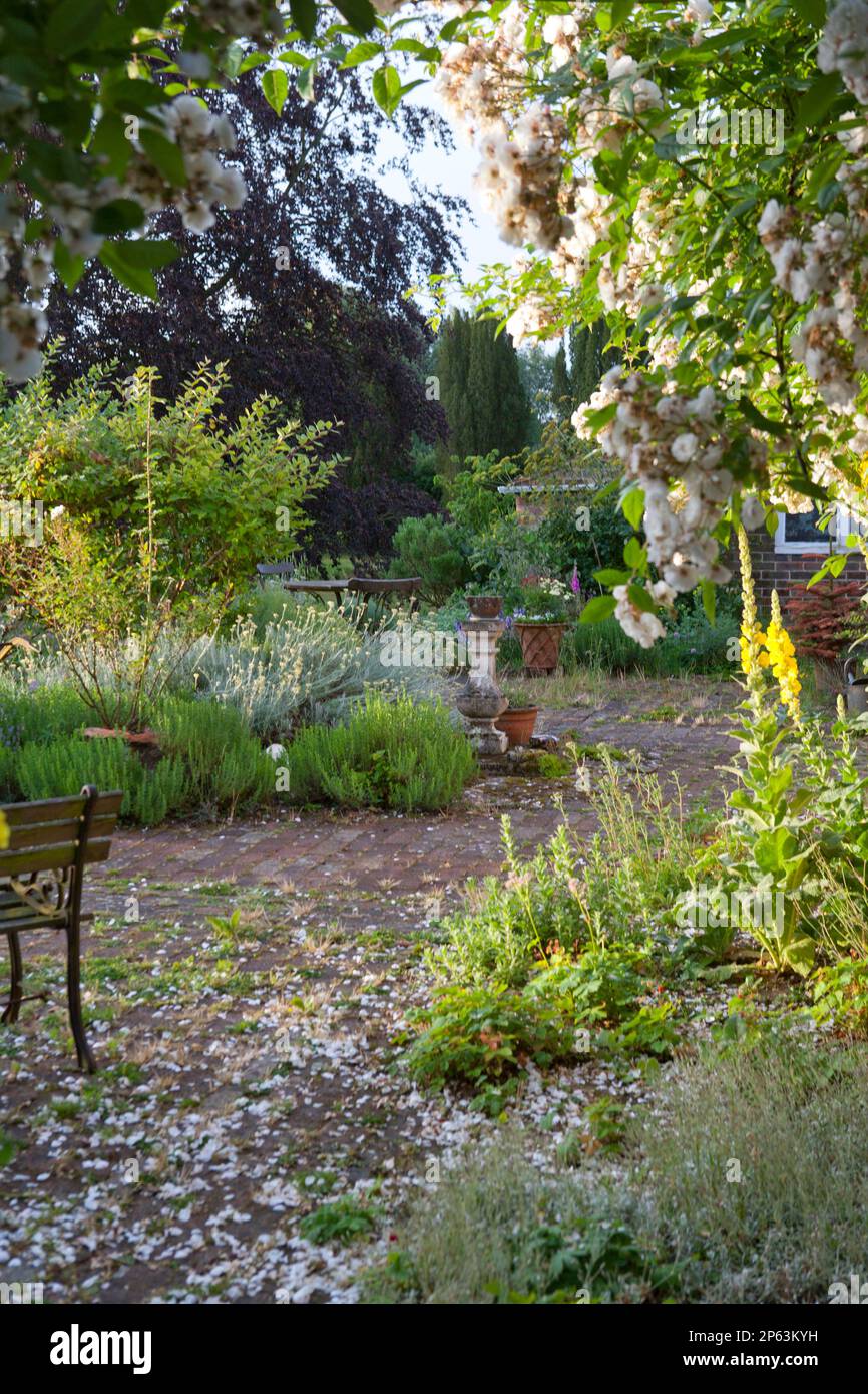 petit jardin de cottage avec pavage en briques à la fin de l'été Banque D'Images