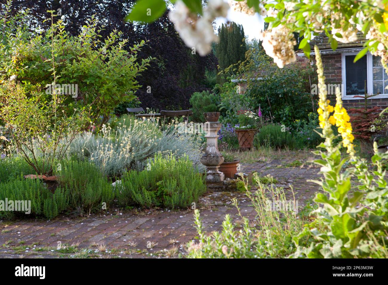 petit jardin de cottage avec pavage en briques à la fin de l'été Banque D'Images