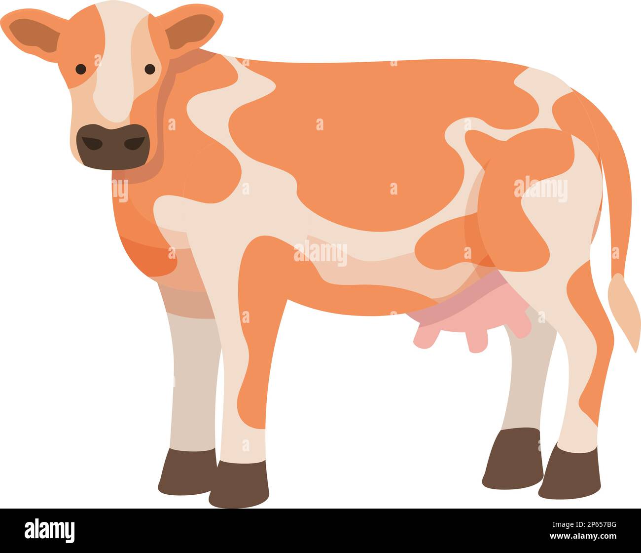 Vecteur de dessin animé de l'icône de la vache Guernesey. Race de ferme. Mangez de l'herbe Illustration de Vecteur