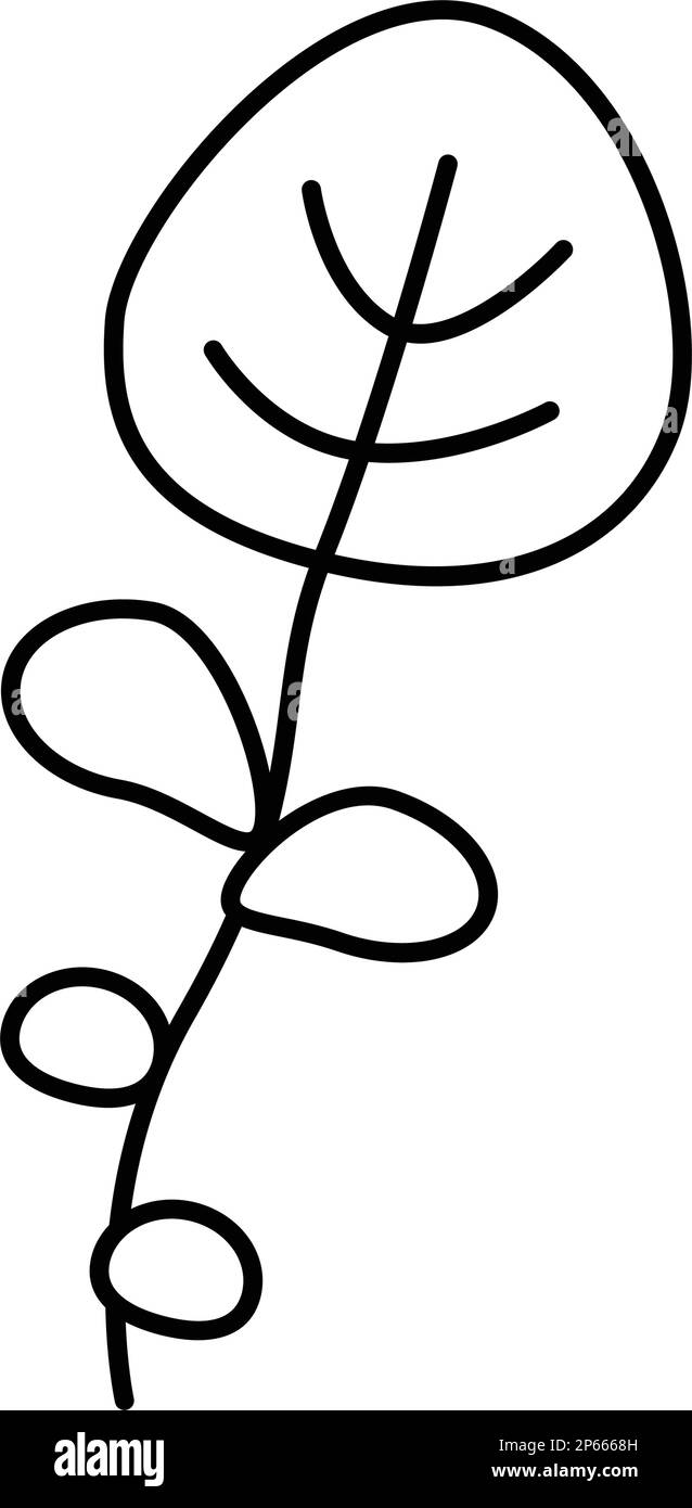 illustration vectorielle de l'icône représentant une salade d'eau Illustration de Vecteur