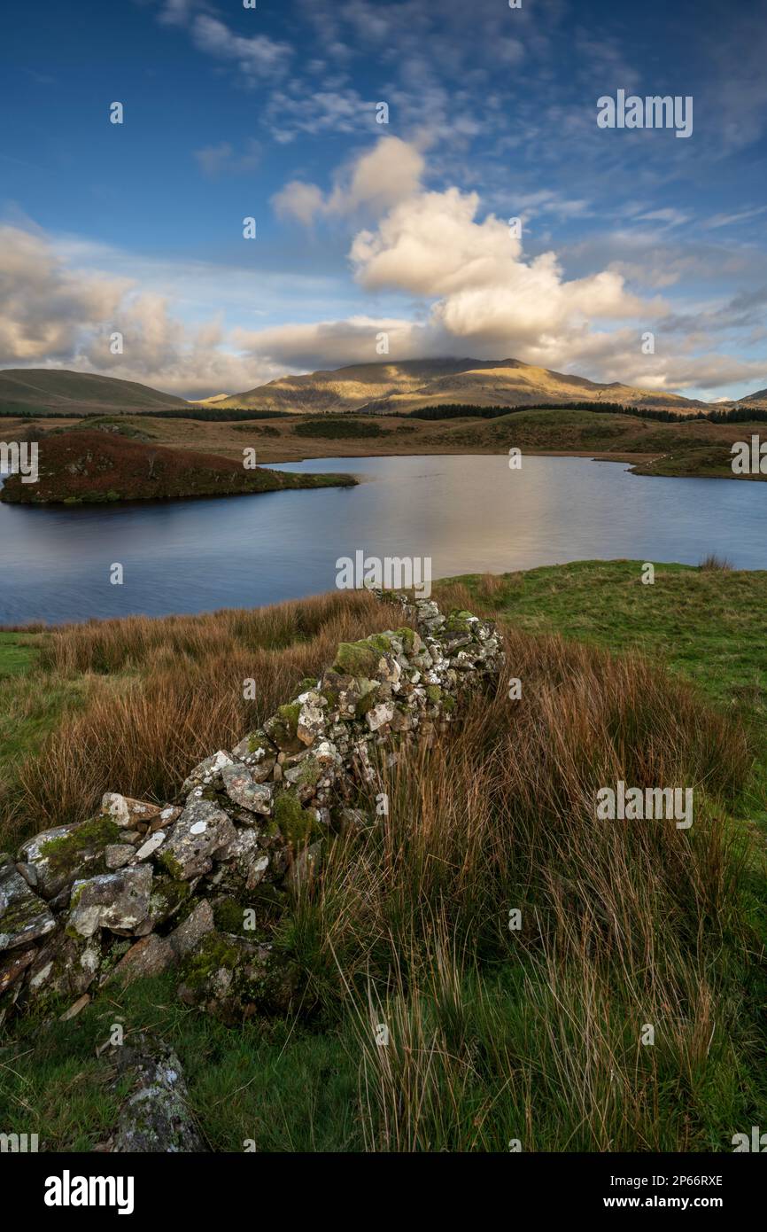 Vue sur le lac jusqu'au mont Snowdon à Llyn y Dywarchen dans le parc national de Snowdonia, pays de Galles, Royaume-Uni, Europe Banque D'Images