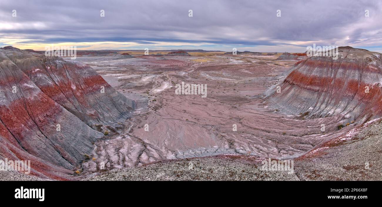 Vue sur les collines de bentonite salée du côté nord de la Forêt Bleue dans le parc national de la Forêt pétrifiée, Arizona, États-Unis d'Amérique Banque D'Images