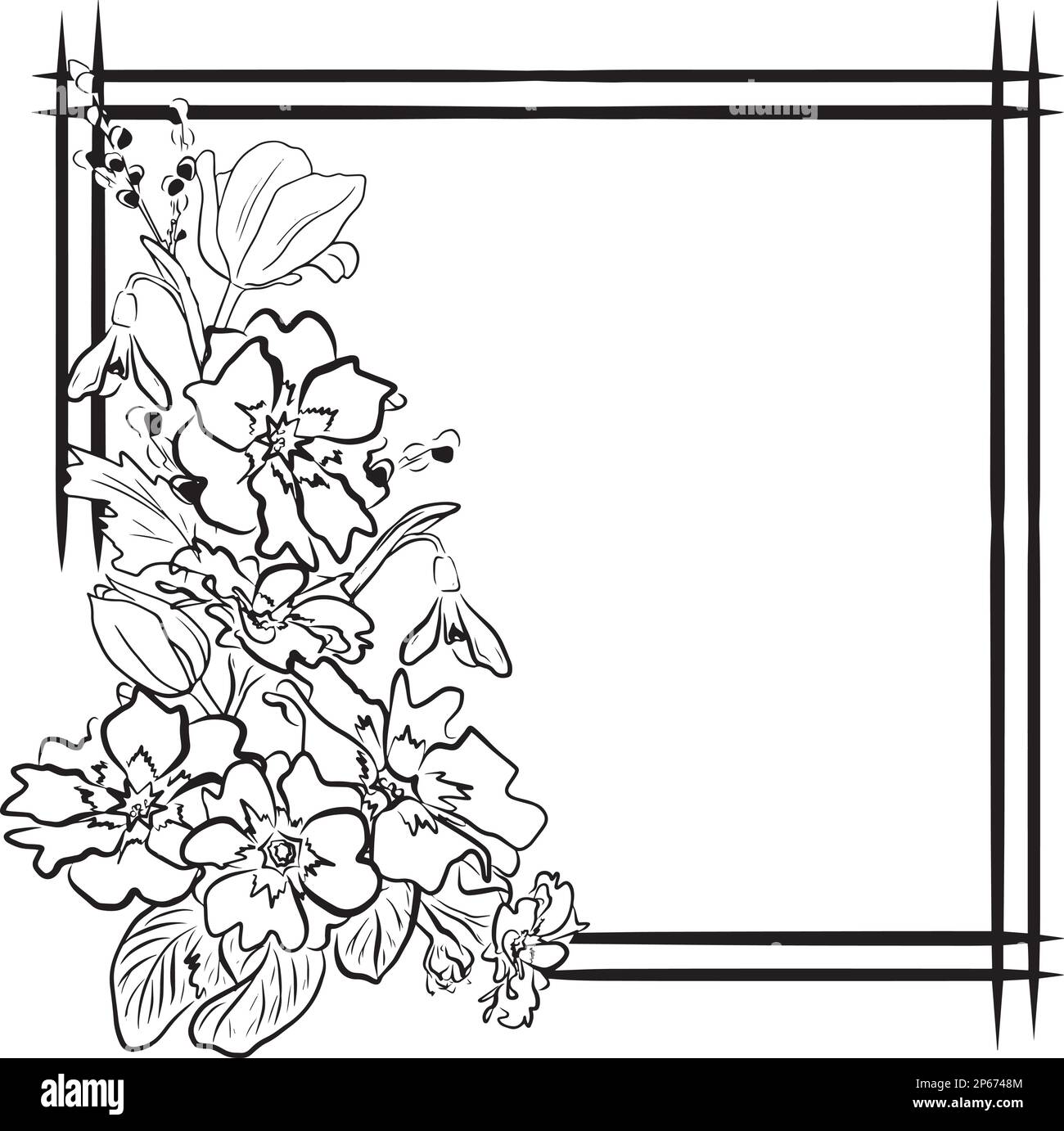 Cadre de dessin vectoriel avec fleurs printanières Illustration de Vecteur