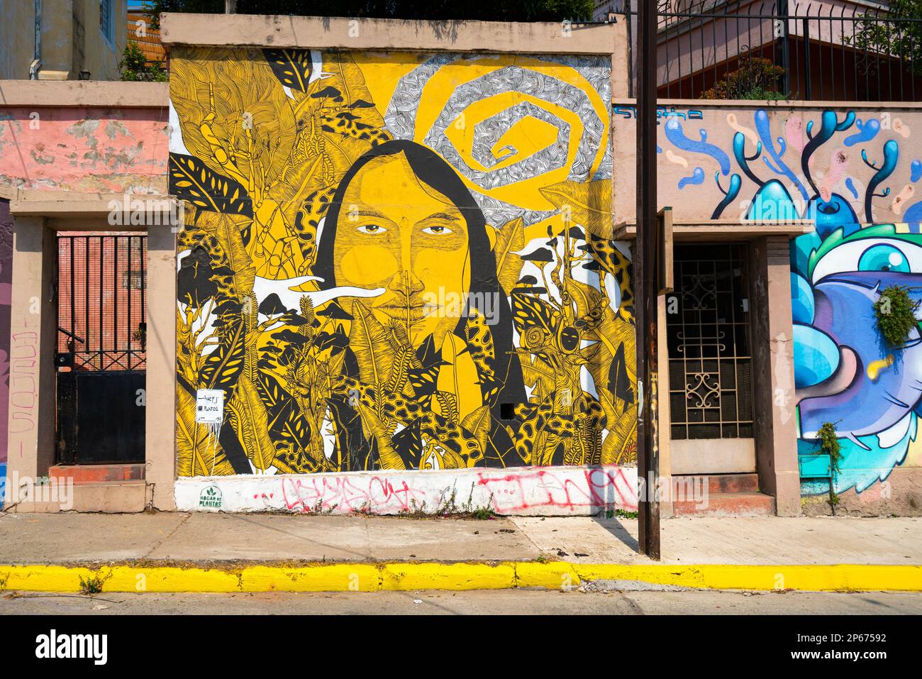 Peinture murale sur maison résidentielle sur Avenida Alemania, Cerro Alegre, Valparaiso, Chili, Amérique du Sud Banque D'Images