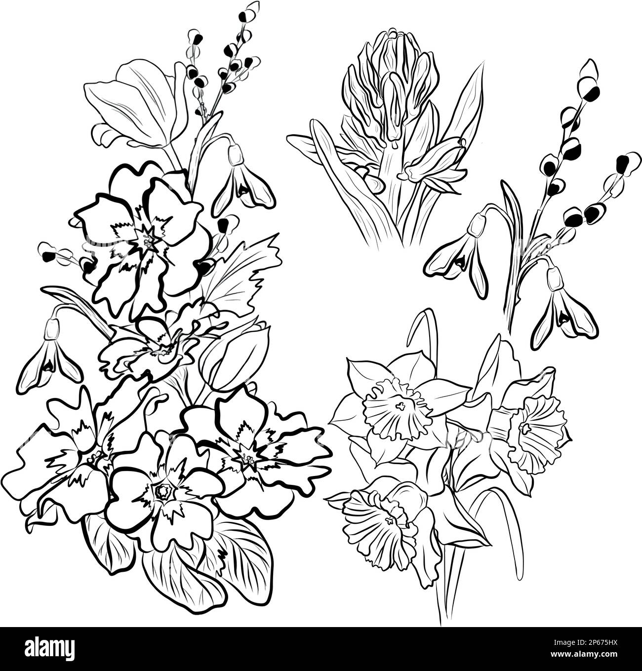 Bouquets de fleurs de printemps à dessin vectoriel Illustration de Vecteur