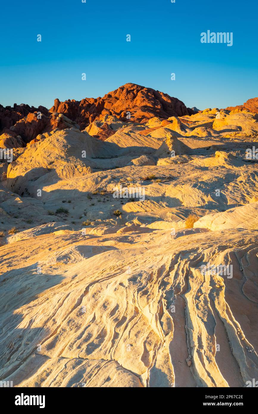 Formations rocheuses rouges et blanches au Fire Canyon et au Silica Dome au lever du soleil, Valley of Fire State Park, Nevada, ouest des États-Unis, États-Unis Banque D'Images
