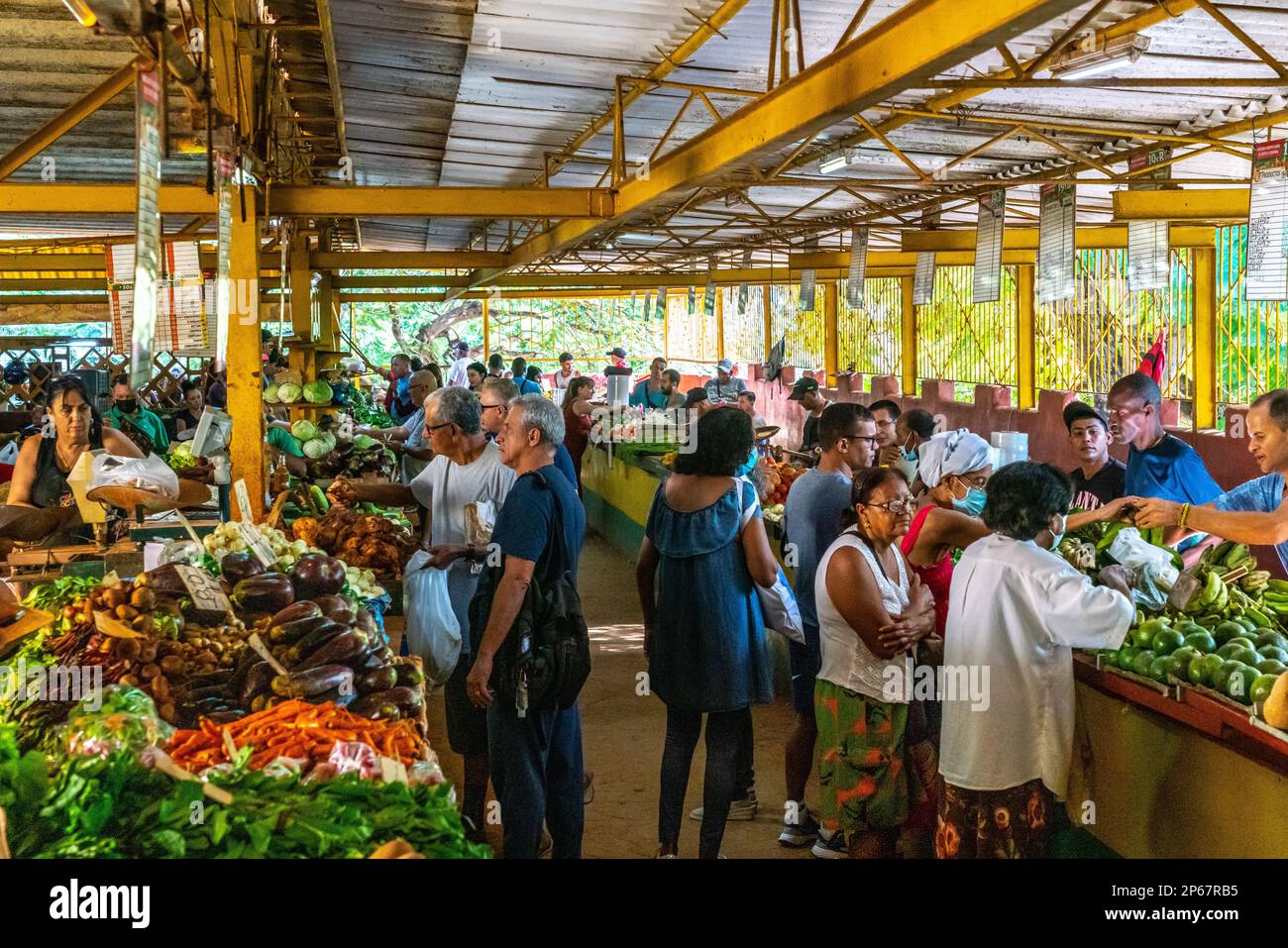 Marché alimentaire couvert, la Havane, Cuba, Antilles, Caraïbes, Amérique centrale Banque D'Images