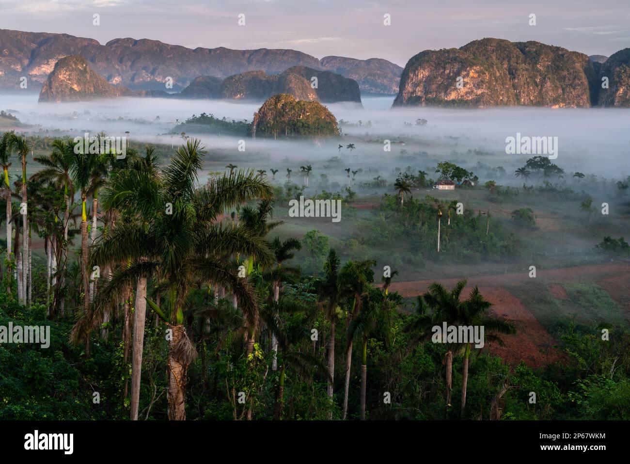 Val de Vinales, site classé au patrimoine mondial de l'UNESCO, brume matinale, Vinales, Cuba, Antilles, Caraïbes, Amérique centrale Banque D'Images