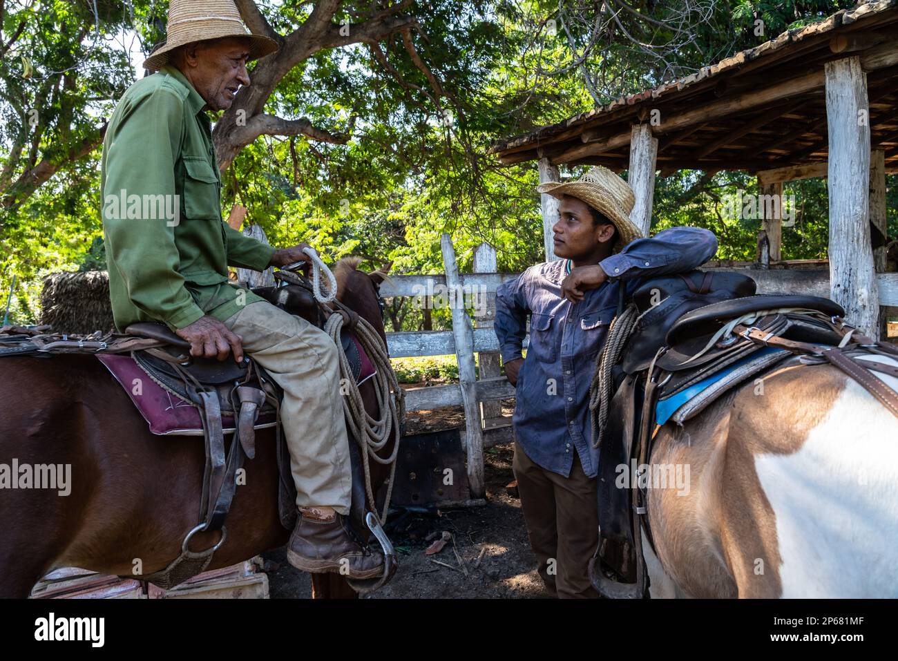 Cowboys en discussion, avec leurs chevaux, dans une ferme près de Trinidad, Cuba, Antilles, Caraïbes, Amérique centrale Banque D'Images