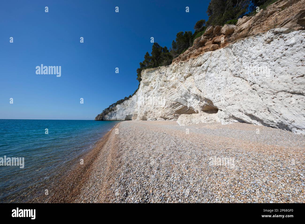 Plage de galets de Spiaggia di Vignanotica sous une falaise blanche, Mattinata, promontoire Gargano, Puglia, Italie, Europe Banque D'Images