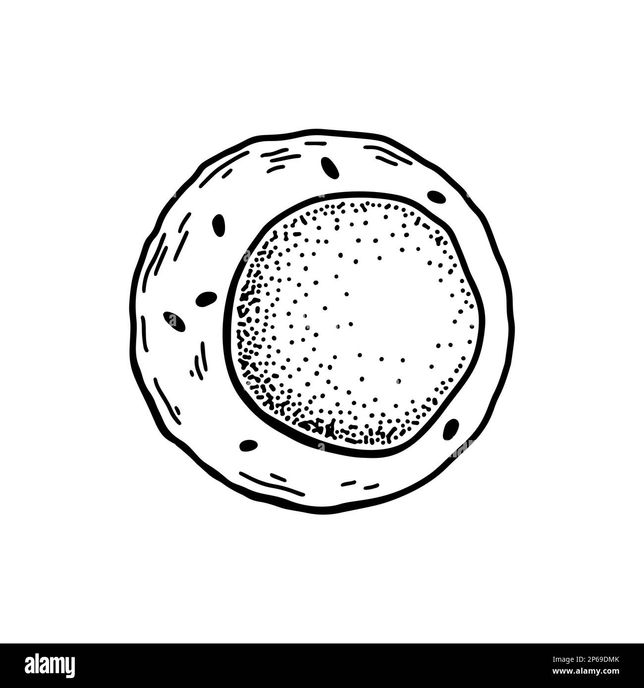Cellule souche de sang myéloïde isolée sur fond blanc. Illustration de vecteur de microbiologie scientifique dessiné à la main dans un style d'esquisse Illustration de Vecteur