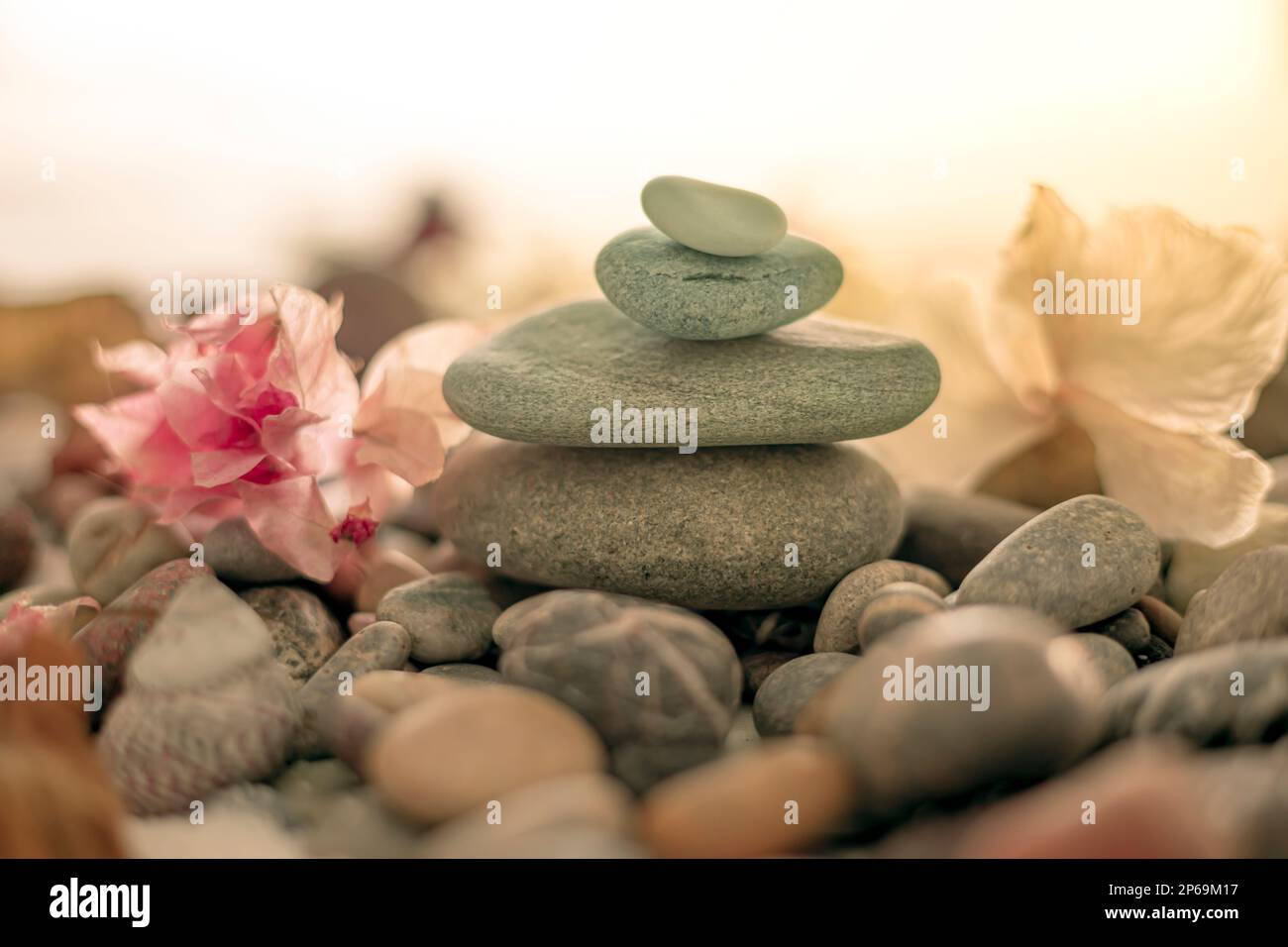 Pile de pierres de galets aux fleurs séchées dans des tons pastel dans un cadre de plage calme avec lumière douce qui invite la paix et la méditation zen Banque D'Images