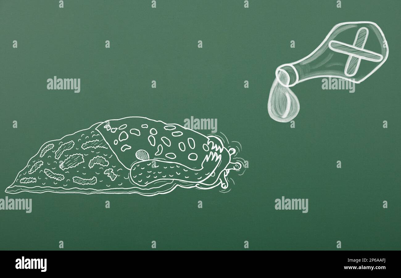 Craie dessin d'escargot de léopard terrifié attendant la mort du venin. Sur fond de planche scolaire. Concept de lutte antiparasitaire Banque D'Images