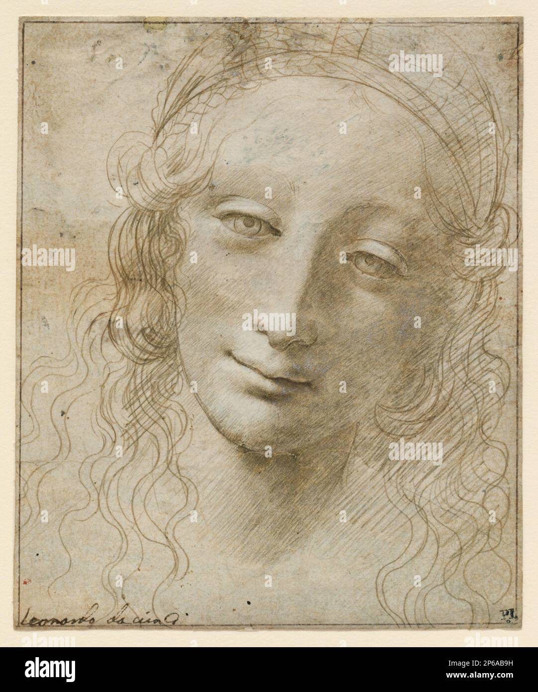 Giovanni Antonio Boltraffio, Chef d'une femme, vers 1495-97, Metalpoint rehaussé de blanc sur papier gris préparé. Banque D'Images