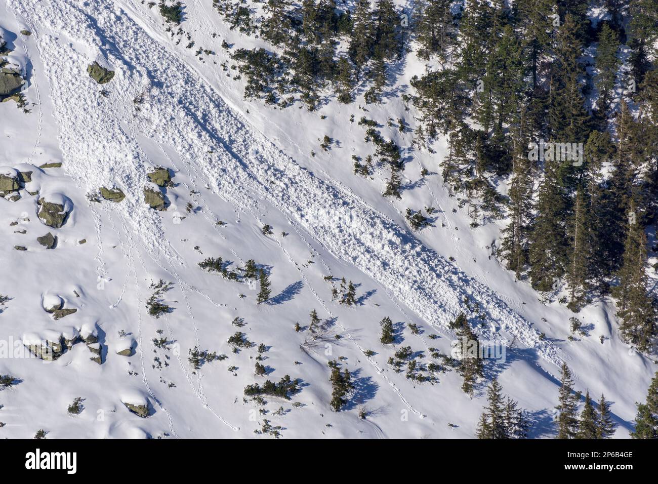 Zone des avalanches. Vue depuis le sentier jusqu'à la vallée des cinq étangs polonais. Banque D'Images